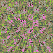 Tie Dye Camo NFT #0027 &copy; Dan Ellis vague.paris