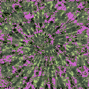 Tie Dye Camo NFT #0040 &copy; Dan Ellis vague.paris