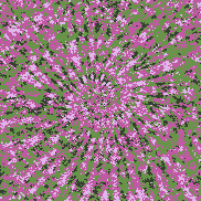 Tie Dye Camo NFT #0118 &copy; Dan Ellis vague.paris