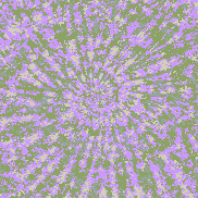 Tie Dye Camo NFT #0152 &copy; Dan Ellis vague.paris