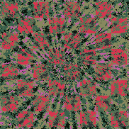 Tie Dye Camo NFT #0215 &copy; Dan Ellis vague.paris