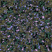 Tie Dye Camo NFT #0277 &copy; Dan Ellis vague.paris