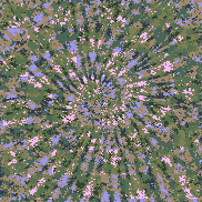 Tie Dye Camo NFT #0303 &copy; Dan Ellis vague.paris