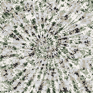 Tie Dye Camo NFT #0370 &copy; Dan Ellis vague.paris