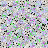 Tie Dye Camo NFT #0376 &copy; Dan Ellis vague.paris