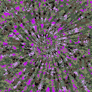 Tie Dye Camo NFT #0403 &copy; Dan Ellis vague.paris