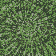 Tie Dye Camo NFT #0446 &copy; Dan Ellis vague.paris