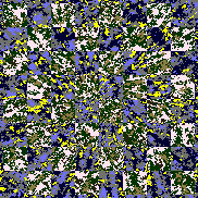 Tie Dye Camo NFT #0452 &copy; Dan Ellis vague.paris