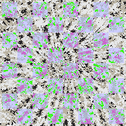 Tie Dye Camo NFT #0528 &copy; Dan Ellis vague.paris