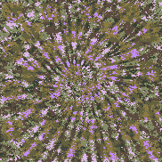 Tie Dye Camo NFT #0572 &copy; Dan Ellis vague.paris