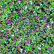 Tie Dye Camo NFT #0589 &copy; Dan Ellis vague.paris