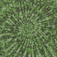 Tie Dye Camo NFT #0597 &copy; Dan Ellis vague.paris