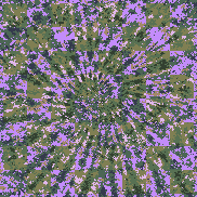 Tie Dye Camo NFT #0600 &copy; Dan Ellis vague.paris