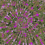 Tie Dye Camo NFT #0611 &copy; Dan Ellis vague.paris