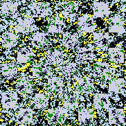 Tie Dye Camo NFT #0758 &copy; Dan Ellis vague.paris