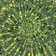 Tie Dye Camo NFT #0782 &copy; Dan Ellis vague.paris