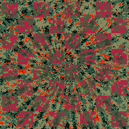 Tie Dye Camo NFT #0913 &copy; Dan Ellis vague.paris