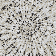 Tie Dye Camo NFT #0929 &copy; Dan Ellis vague.paris