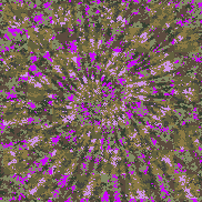 Tie Dye Camo NFT #0953 &copy; Dan Ellis vague.paris