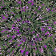 Tie Dye Camo NFT #0959 &copy; Dan Ellis vague.paris