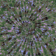 Tie Dye Camo NFT #1088 &copy; Dan Ellis vague.paris