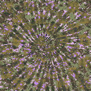 Tie Dye Camo NFT #1141 &copy; Dan Ellis vague.paris