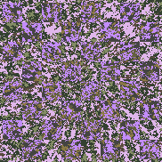 Tie Dye Camo NFT #1223 &copy; Dan Ellis vague.paris