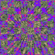 Tie Dye Camo NFT #1349 &copy; Dan Ellis vague.paris