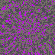 Tie Dye Camo NFT #1401 &copy; Dan Ellis vague.paris