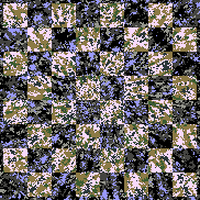 Tie Dye Camo NFT #1480 &copy; Dan Ellis vague.paris