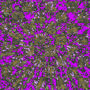 Tie Dye Camo NFT #1495 &copy; Dan Ellis vague.paris