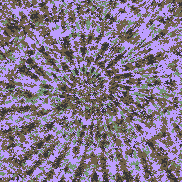 Tie Dye Camo NFT #1513 &copy; Dan Ellis vague.paris