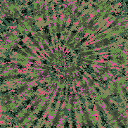 Tie Dye Camo NFT #1536 &copy; Dan Ellis vague.paris