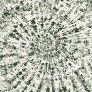 Tie Dye Camo NFT #1541 &copy; Dan Ellis vague.paris