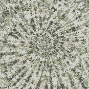 Tie Dye Camo NFT #1582 &copy; Dan Ellis vague.paris