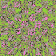 Tie Dye Camo NFT #1583 &copy; Dan Ellis vague.paris