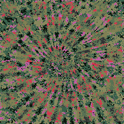 Tie Dye Camo NFT #1616 &copy; Dan Ellis vague.paris