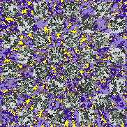 Tie Dye Camo NFT #1637 &copy; Dan Ellis vague.paris