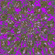 Tie Dye Camo NFT #1713 &copy; Dan Ellis vague.paris