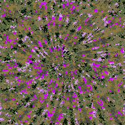 Tie Dye Camo NFT #1716 &copy; Dan Ellis vague.paris