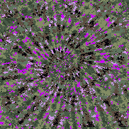 Tie Dye Camo NFT #1731 &copy; Dan Ellis vague.paris