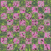 Tie Dye Camo NFT #1774 &copy; Dan Ellis vague.paris