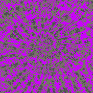 Tie Dye Camo NFT #1816 &copy; Dan Ellis vague.paris