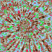 Tie Dye Camo NFT #1877 &copy; Dan Ellis vague.paris