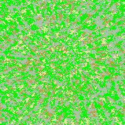 Tie Dye Camo NFT #1933 &copy; Dan Ellis vague.paris