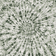 Tie Dye Camo NFT #1989 &copy; Dan Ellis vague.paris